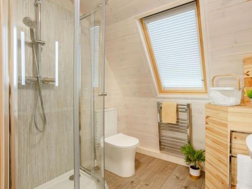 a bathroom with a toilet and a glass shower at Caithness View Luxury Farm Lodges and BBQ Huts in Wick