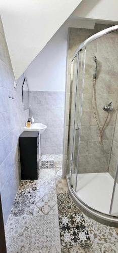 a bathroom with a shower and a sink at Penzion u Marešů in Hřensko