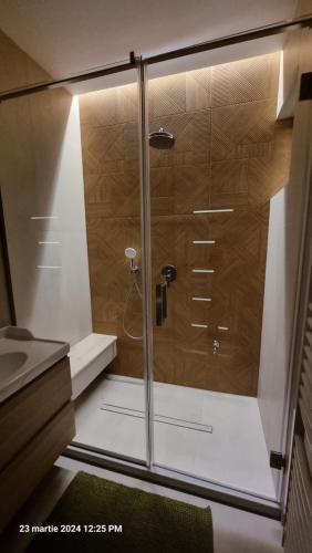 a shower with a glass door in a bathroom at Nico's stylish Apartment in Satu Mare