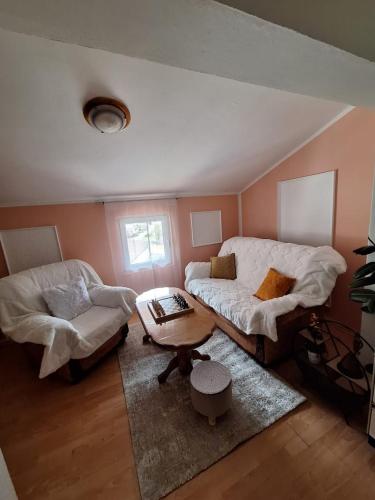 a living room with a couch and a table at Apartment DUCA in Pluzine