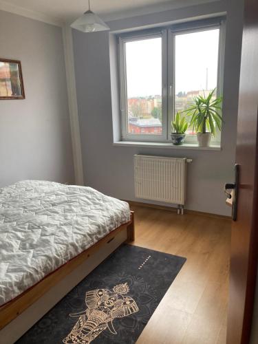 a bedroom with a bed and two windows and a rug at Apartament nad rzeką na Mazurach in Olecko