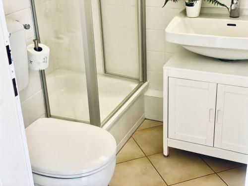 a bathroom with a shower and a toilet and a sink at fewo1846 - Sonne und Meer - kleines Studio-Apartment mit Balkon und Meerblick in Glücksburg