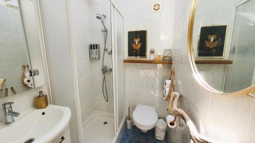 e bagno con servizi igienici, lavandino e doccia. di Fidelissima Palace a Korčula