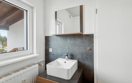 a bathroom with a white sink and a window at Amazing Apartment In Benneckenstein With Kitchen in Benneckenstein