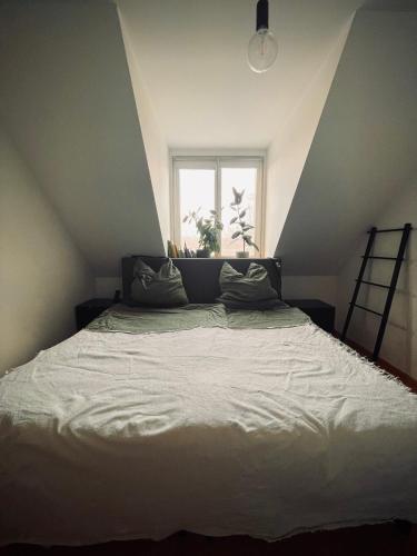 uma cama num quarto com uma janela em Dachterrasse im grünen Schleußig em Leipzig