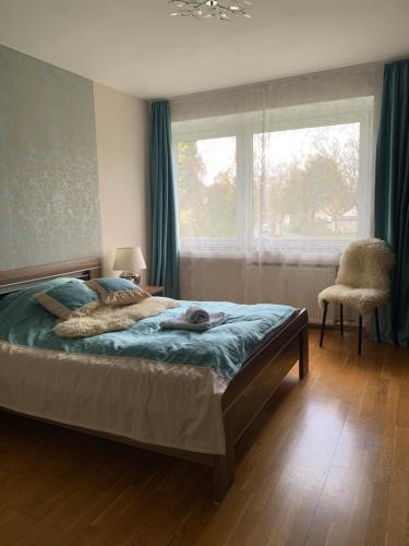 ein Schlafzimmer mit einem Bett, einem Fenster und einem Stuhl in der Unterkunft Leon’s Apartment in Krefeld