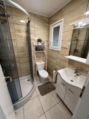 a bathroom with a toilet and a shower and a sink at Vila VALENTINA in Čatež ob Savi