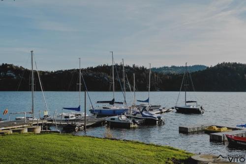 a group of boats docked at a dock on a lake at Kompleks Tawerna Vito - Apartamenty Vito in Czorsztyn