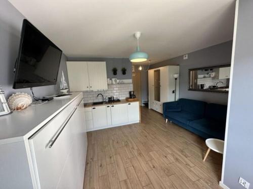 eine Küche und ein Wohnzimmer mit einem blauen Sofa in der Unterkunft Holiday studio for 3 people, Dziwnówek in Dziwnówek