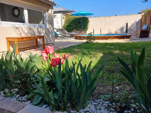 un jardin avec des tulipes rouges et un banc dans l'établissement Villa Les oliviers, au Pontet