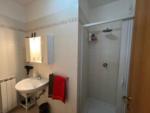 a small bathroom with a sink and a shower at Grazioso monolocale a Pomezia in Pomezia