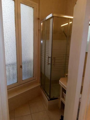 une salle de bain avec une douche et un lavabo et une fenêtre dans l'établissement Petit cocon en plein coeur de Paris, à Paris