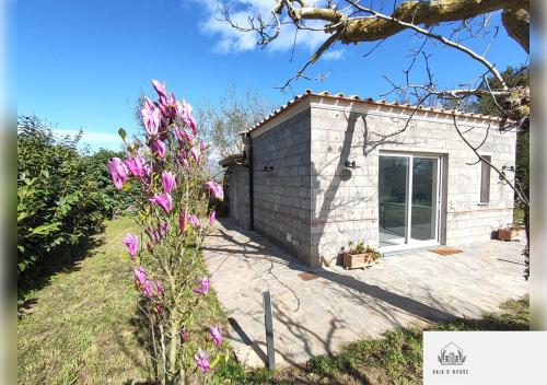 a small brick house with a window and a flower at Gaia's House in Massa Lubrense
