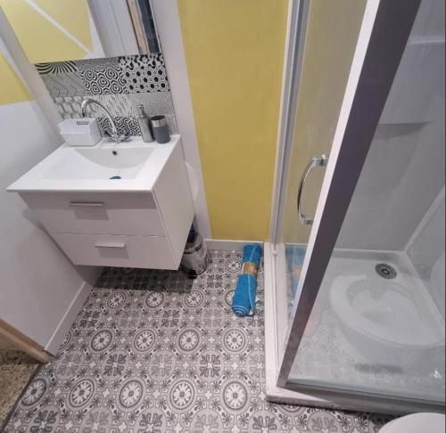 a bathroom with a shower and a sink and a toilet at Beau studio en centre ville in Narbonne