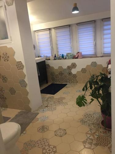 a bathroom with a toilet and a potted plant at Agréable maison de ville avec parking gratuit in Montpellier