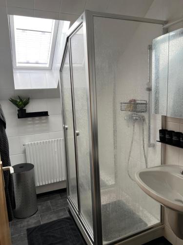 a bathroom with a shower and a sink at Ferienwohnung Nannerl in Bad Sachsa