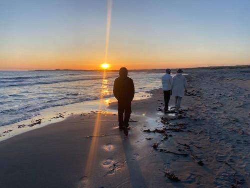 ヴィラの近くで見られる自然の景観