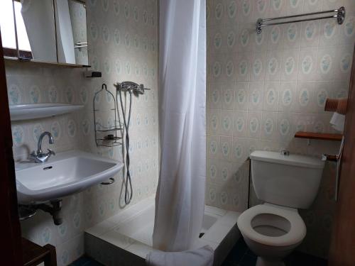 a bathroom with a toilet and a sink at Hotel Bergerie Chatel in Châtel