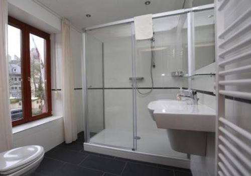 a bathroom with a shower and a sink and a toilet at Auberge Bleech in Larochette