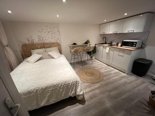 a small bedroom with a bed and a kitchen at Le zénith vieille ville d'Annecy in Annecy