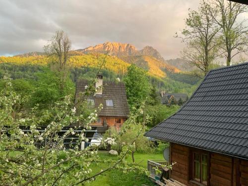 een uitzicht op een huis met een berg op de achtergrond bij Domek SEKRET in Zakopane