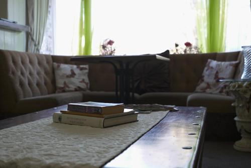 斯凱格內斯的住宿－The Eastleigh，客厅的咖啡桌上放着两本书