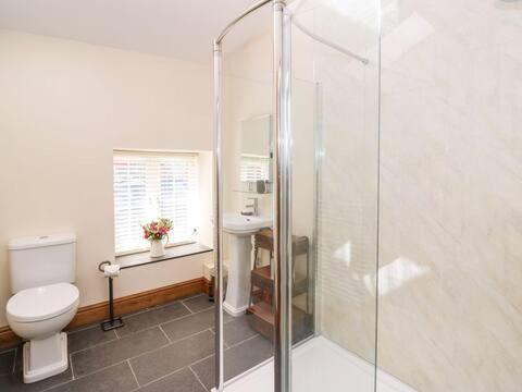een badkamer met een toilet en een glazen douche bij Bwthyn Derrick in Tal-gareg