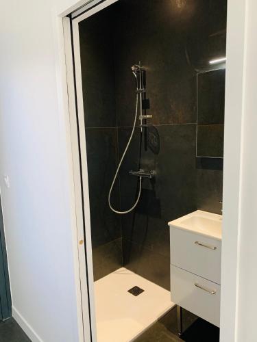 une salle de bain avec douche et lavabo dans l'établissement Studio cosy wifi terrasse CHU-Cite administrative-Primrose, à Bordeaux