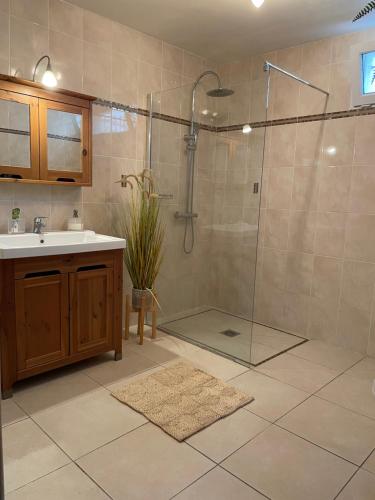 une salle de bain avec douche et lavabo dans l'établissement Charming villa with superb swimming pool and standing view, à Lorgues
