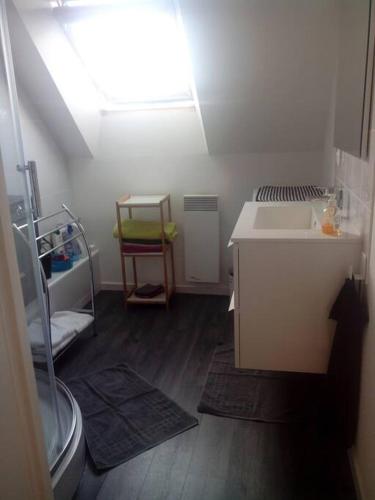 une petite salle de bain avec un lavabo et un évier dans l'établissement Beau Duplex proche centre vannes, à Vannes