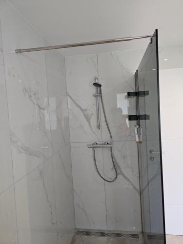a bathroom with a shower with a glass door at Appartment Jasmin in Liezen