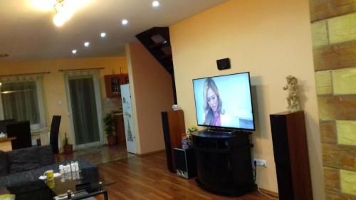 sala de estar con TV de pantalla plana grande en Dunaparti pihenés, en Százhalombatta