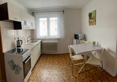 a small kitchen with a sink and a table at Ubytování U Ropáků in Horní Slavkov