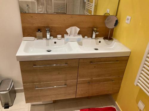 une salle de bain avec un lavabo blanc et un miroir dans l'établissement Tour Eiffel - Grand deux pièces avec terrasse, à Paris