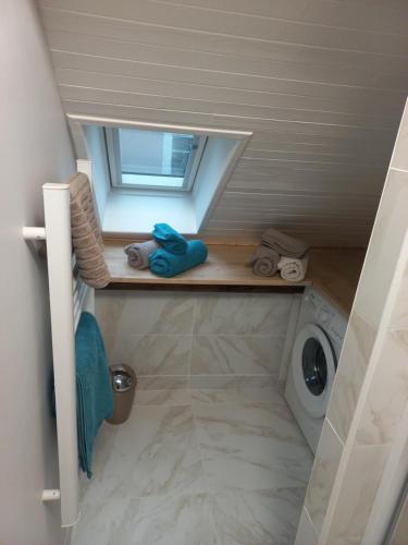 une petite salle de bains avec un lave-linge et une fenêtre. dans l'établissement Residence du parc, à Saint-Martin-dʼUriage