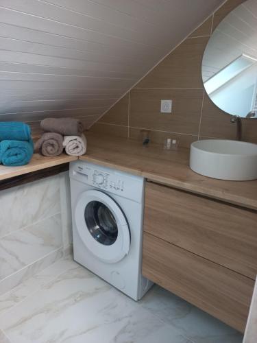 a washing machine in a bathroom with a sink at Residence du parc in Saint-Martin-dʼUriage
