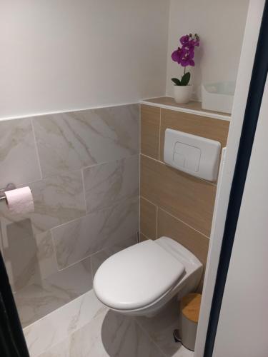 a bathroom with a white toilet and marble walls at Residence du parc in Saint-Martin-dʼUriage