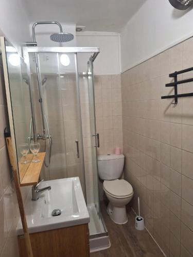 une salle de bain avec une douche, des toilettes et un lavabo dans l'établissement Golfe-Juan port, à Vallauris