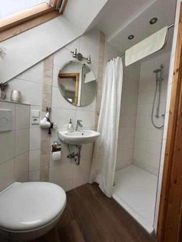 a bathroom with a toilet a sink and a shower at Pension Schramm in Karlsruhe