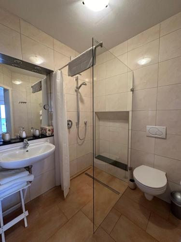 a bathroom with a shower and a toilet and a sink at Pension Schramm in Karlsruhe