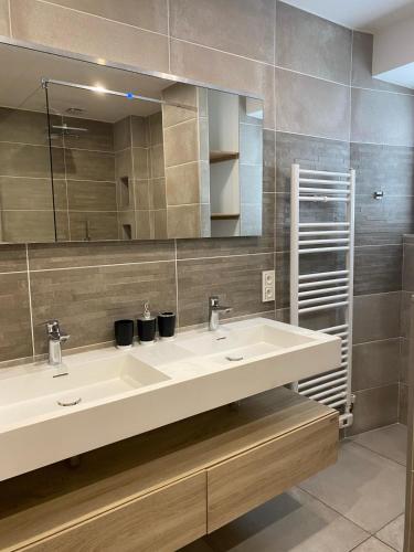 une salle de bain avec un lavabo blanc et un miroir dans l'établissement Chambre Mendi pausa, à Irissarry