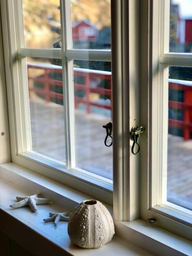 a window sill with some seashells next to a window at Nusfjord Waterfront Rorbu 18 in Ramberg