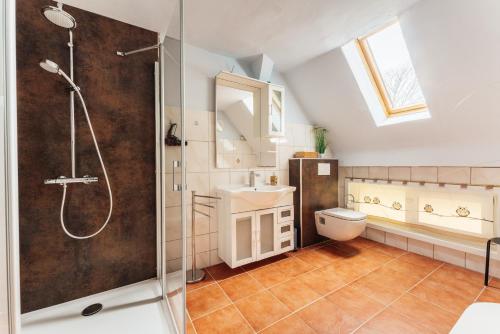 a bathroom with a shower and a sink and a toilet at Altes Forsthaus Königskrug in Braunlage