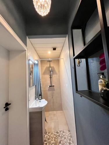 a small bathroom with a sink and a shower at Zentrale Stadtwohnung, Bahnhofsnähe, OG-Krankenhaus, OG-Messe, EuropaPark in Offenburg