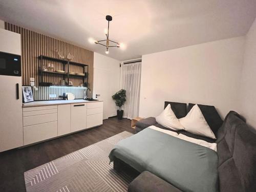 ein Wohnzimmer mit einem Bett und eine Küche in der Unterkunft Zentrale Stadtwohnung, Bahnhofsnähe, OG-Krankenhaus, OG-Messe, EuropaPark in Offenburg