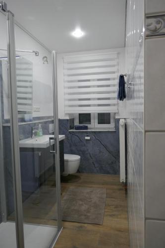 a bathroom with a shower and a toilet and a sink at Bauernhaus Schunck im Bliesgau in Blieskastel