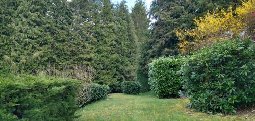 a garden with green bushes and trees in the background at Le Petit Lac in Bourganeuf