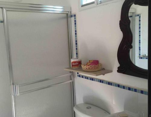 a bathroom with a shower and a toilet and a mirror at Casa Bella Suit in Salinas