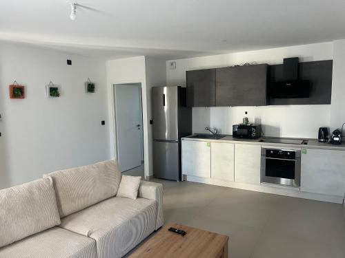 un salon avec un canapé et une cuisine dans l'établissement Mimosas résidence, à Juvignac