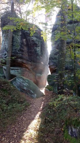 a path in the woods next to a rock formation at U Studánky in Koberovy
